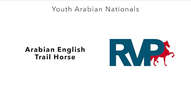 YAN24- Class 180- Arabian English Tra...