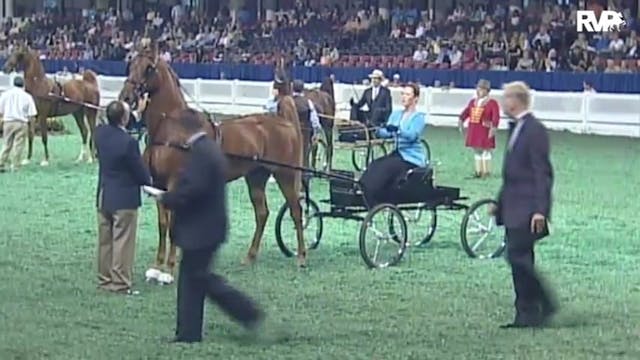 2010 World's Championship Horse Show ...