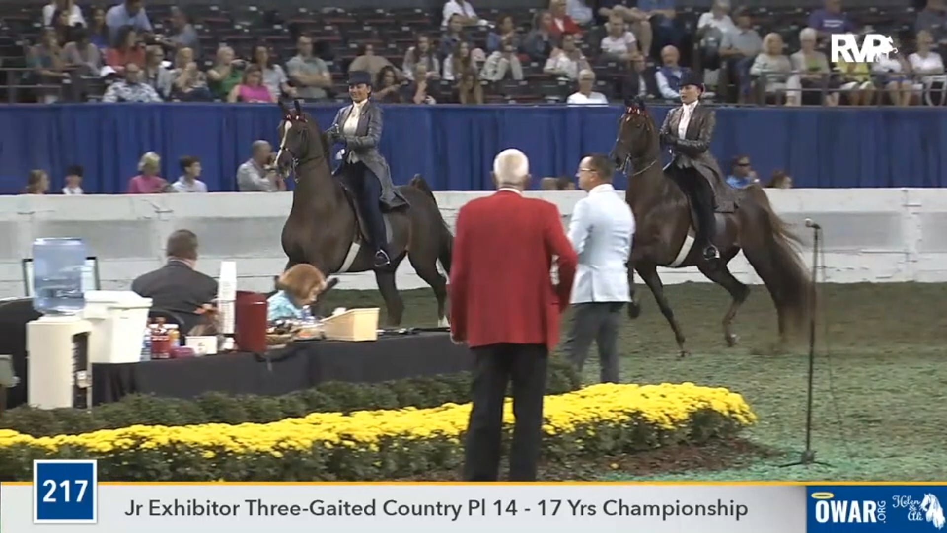 2019 WCHS - Class 217 Junior Exhibitor Three Gaited
Country Pleasure Rider 14-17 Championship