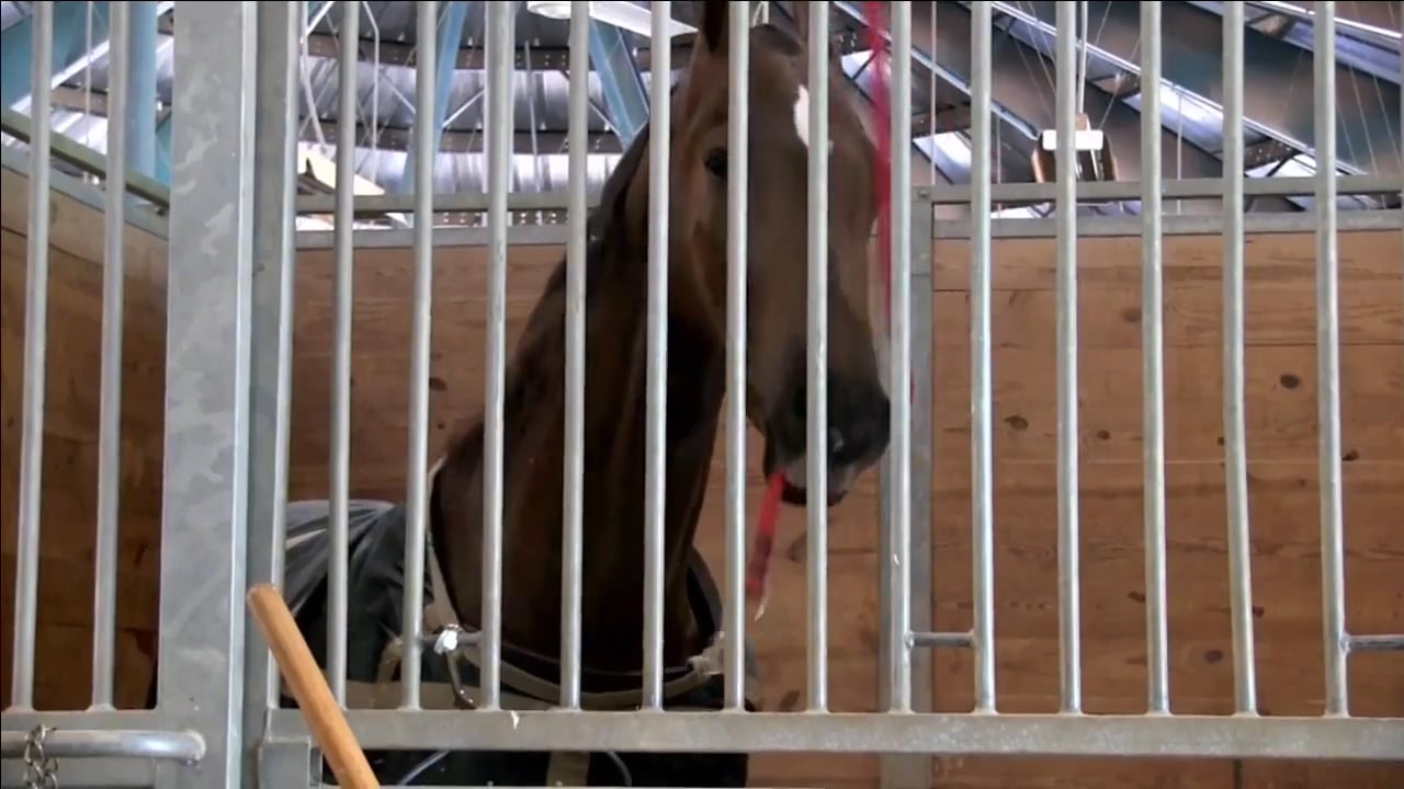 DC17 - Friday Evening