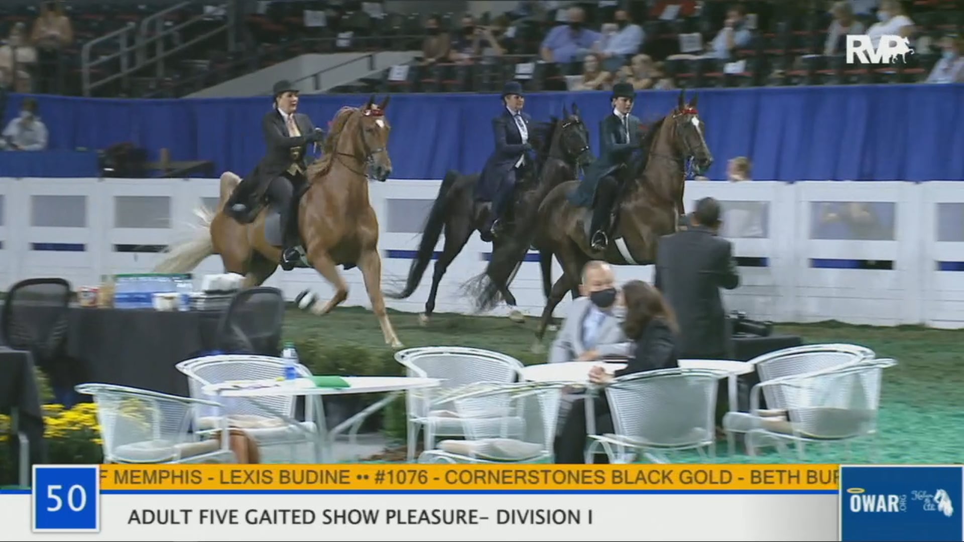 WCHS 2020 Class 50 - Adult Five-Gaited Show Pleasure - Division I