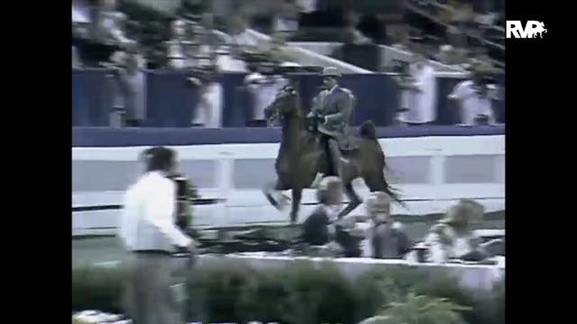 1997 WCHS - Class 42 Junior Five Gait...