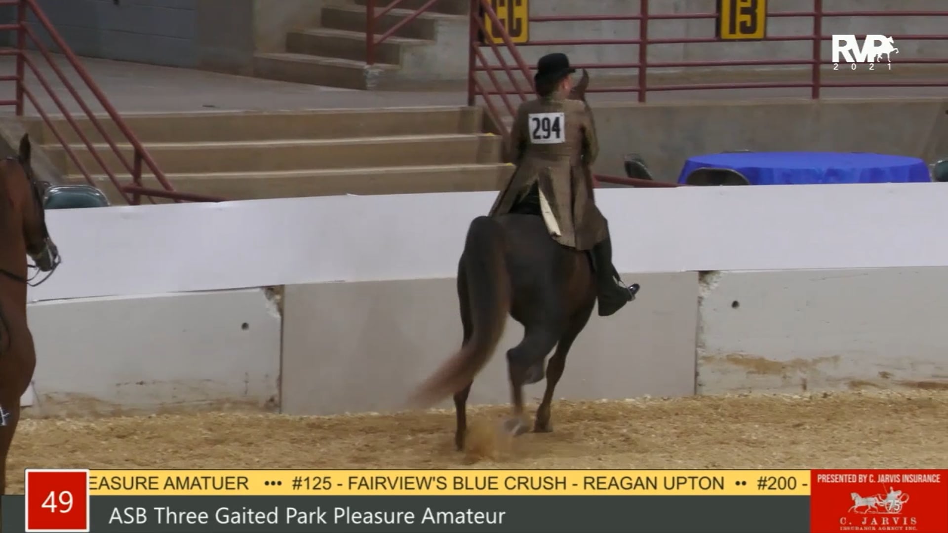 PA21 - Class 49 ASB Three Gaited Park Pleasure Amateur