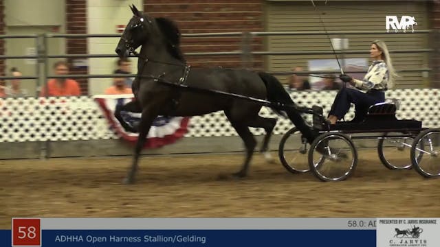 AAC22 - Class 58 -  ADHHA Open Harnes...