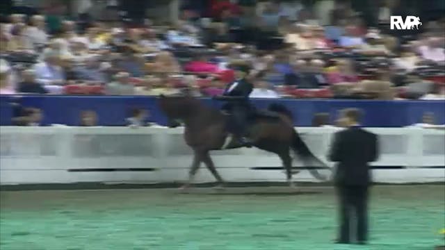 2000 WCHS Class 105 Three Gaited 15.2...