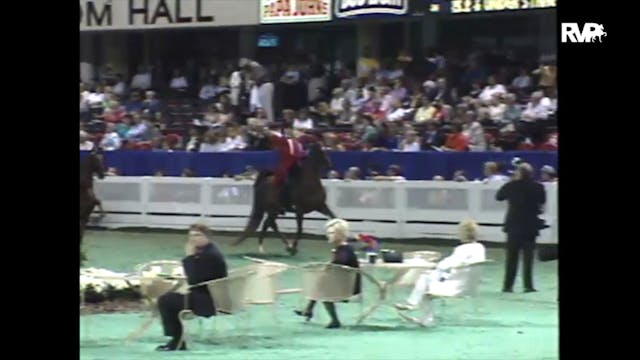 1997 WCHS - Class 84 Amateur Three Ga...