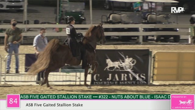 2020 LJL - Class 84 ASB Five Gaited S...