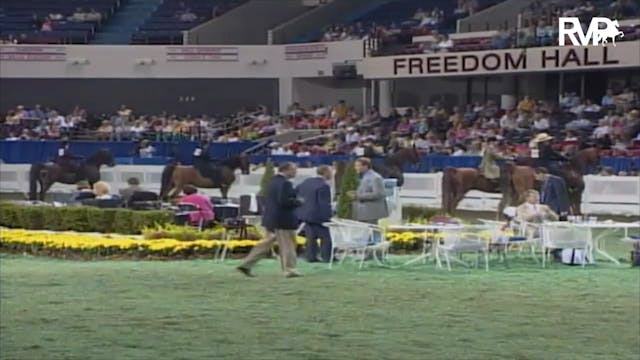 2003 WCHS Class 83 Adult FIve Gaited ...