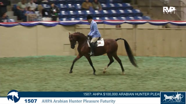 AN24 - Class 1507 - AHPA Arabian Hunt...