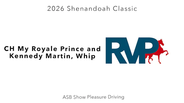 SC26 - Class 15 - CH My Royale Prince...