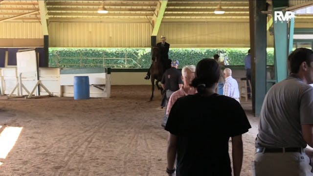 NCSC22 - Class 13 -  ASB Three Gaited...