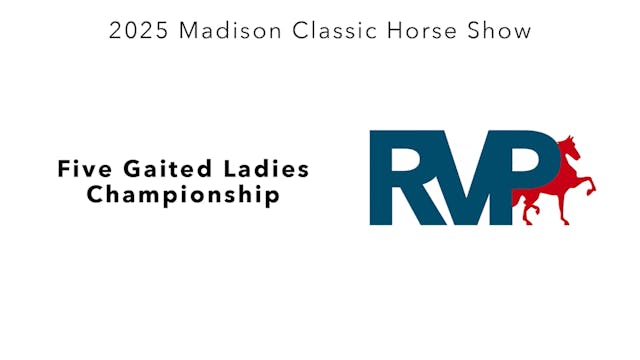 MC25 - Class 110 - Five Gaited Ladies...