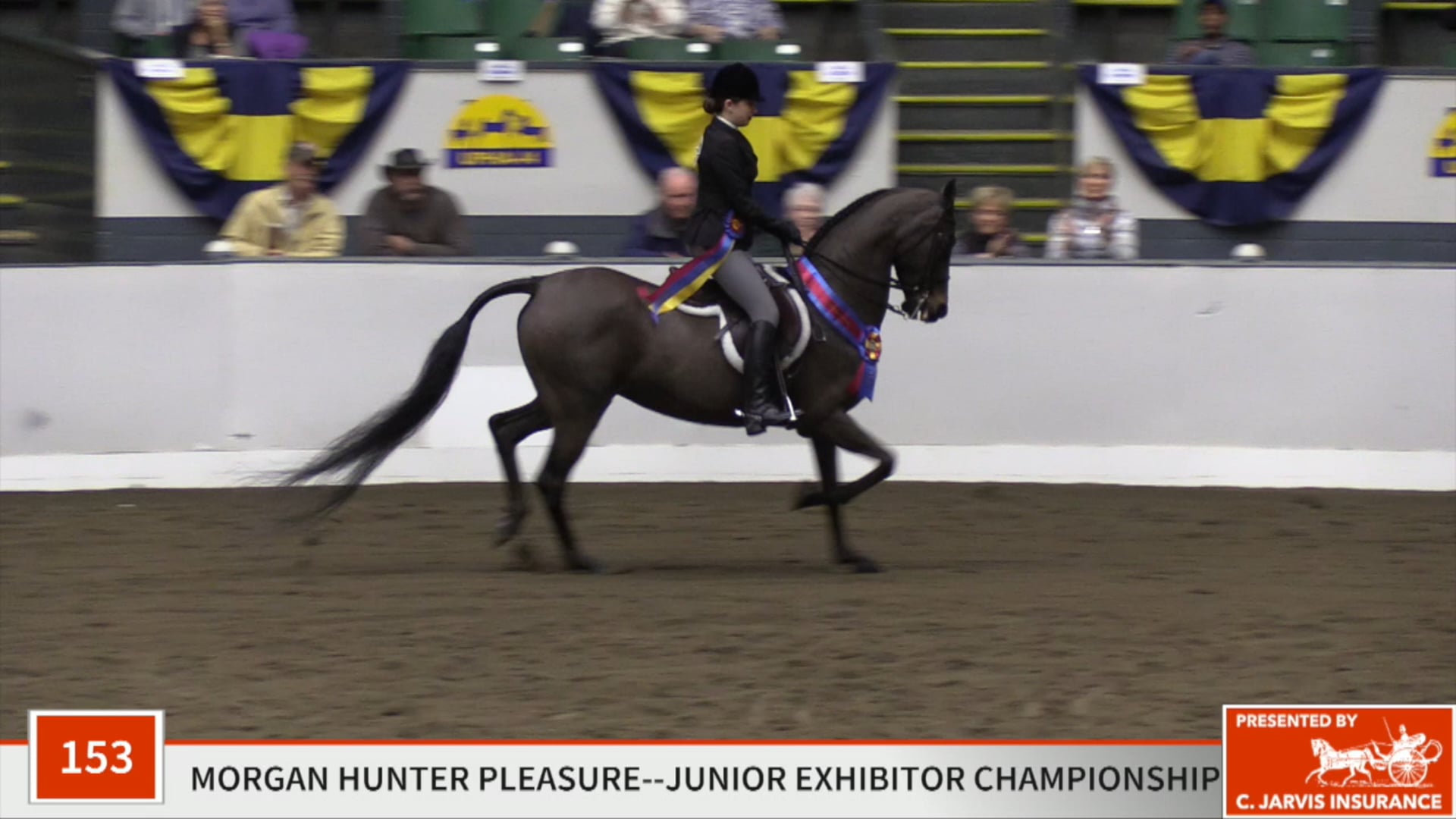 UPHA14-19 - Class 153 - Ultra's Now And Forever GCH Championship