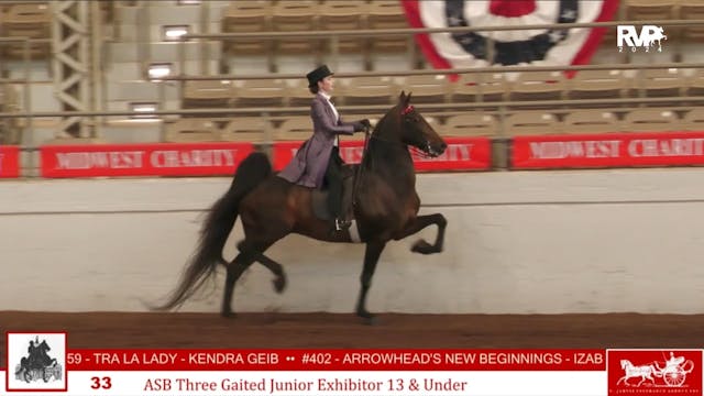 MW24 - Class 33 - ASB Three Gaited Jr...