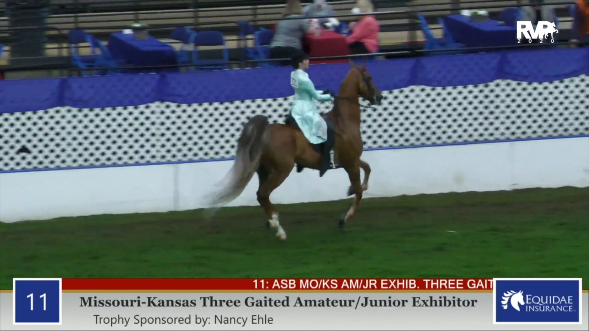 2020 AR - Class 11 MO:KS Three Gaited Amateur:
Junior Exhibitor