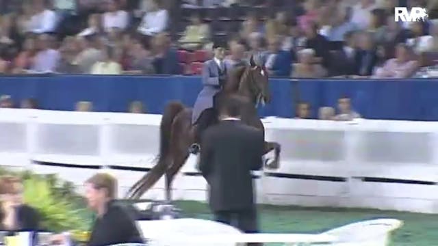 2010 World's Championship Horse Show ...