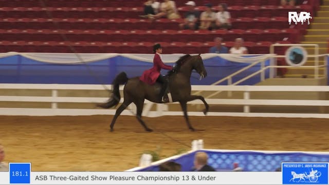 BR23 - Class 181.1 - ASB Three Gaited...