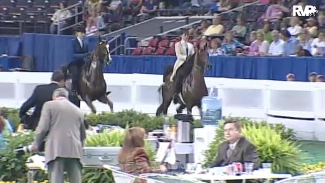 2010 World's Championship Horse Show ...