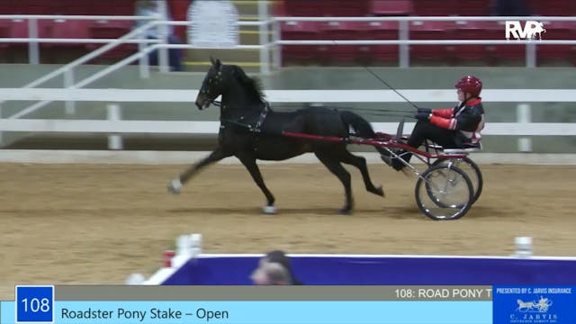 ASW21 - Class 108 - Roadster Pony Sta...