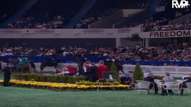 2003 WCHS Class 11 Ladies' Three Gait...