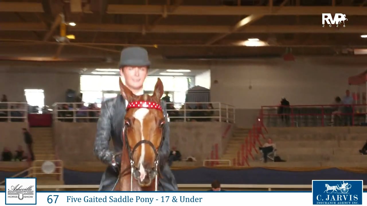 2026 Asheville Saddlebred Classic - Thursday Evening