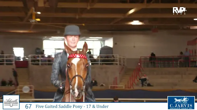 2026 Asheville Saddlebred Classic - T...