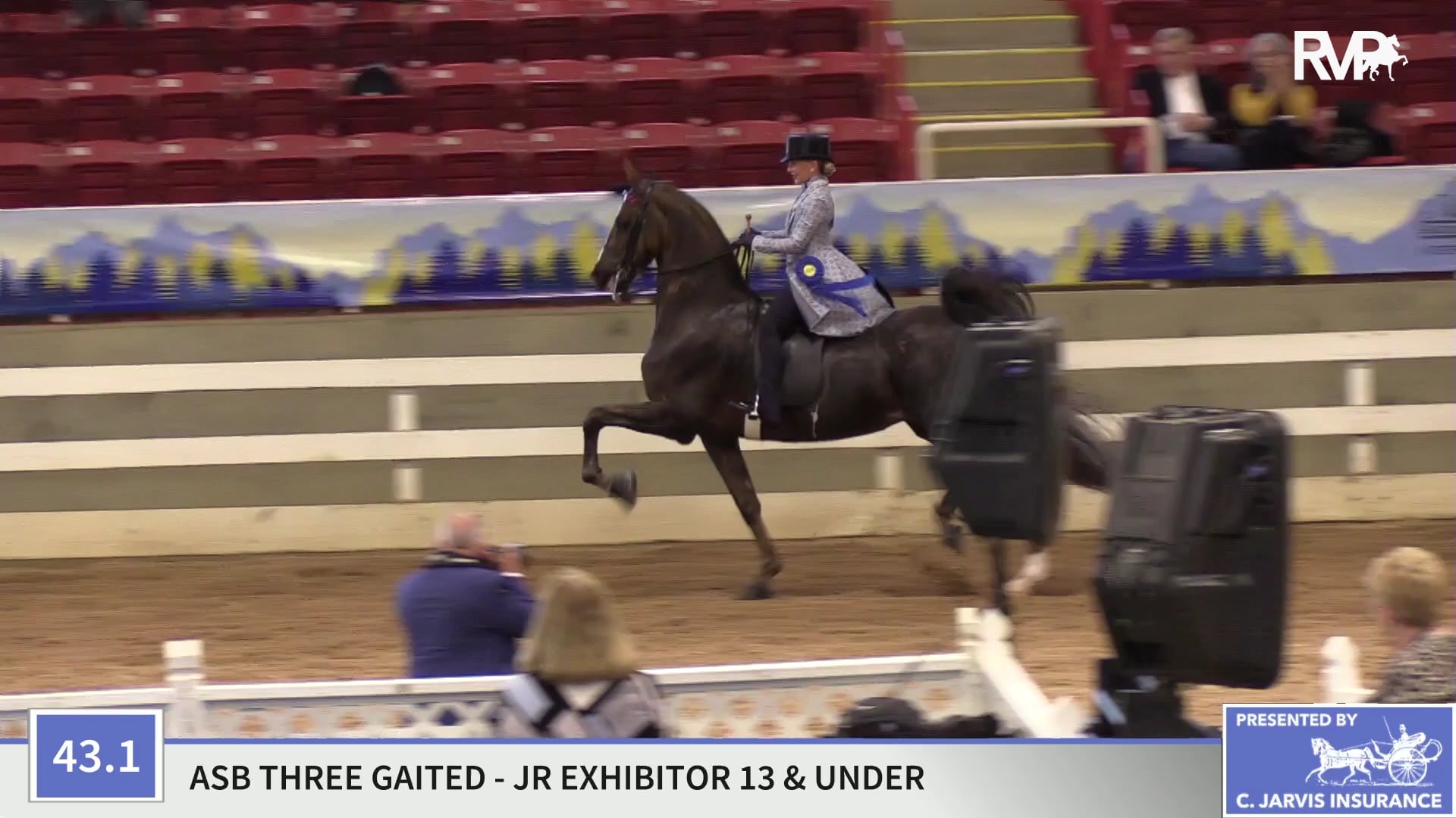 ASC19 - Class 43.1 - CH Undulata's Susan McGee