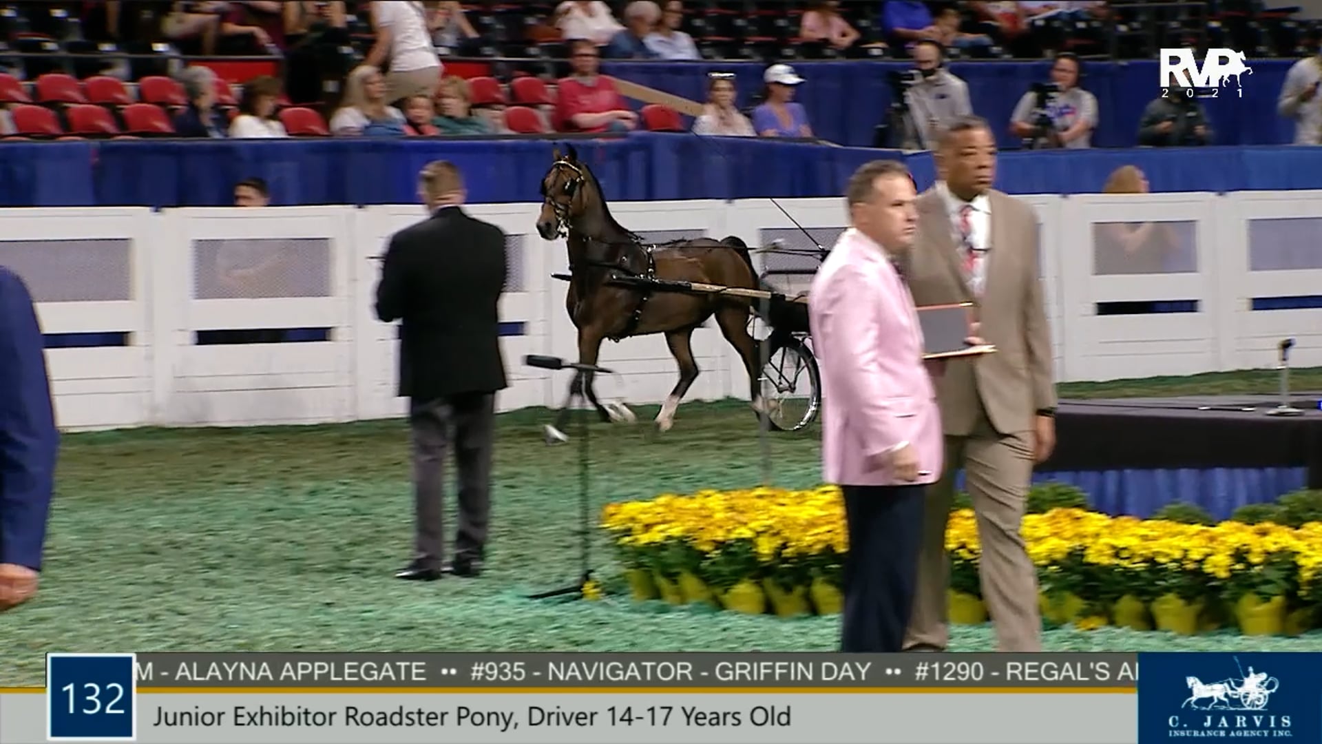 WCHS21 - Class 132 - Junior Exhibitor Roadster Pony Driver 14-17 Years Old