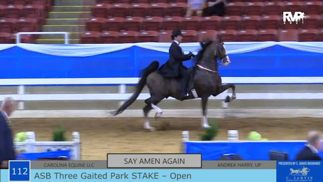 ASF21 - Class 112 - ASB Three Gaited ...