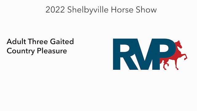 SHS22 - Class 9 -  Adult Three Gaited...