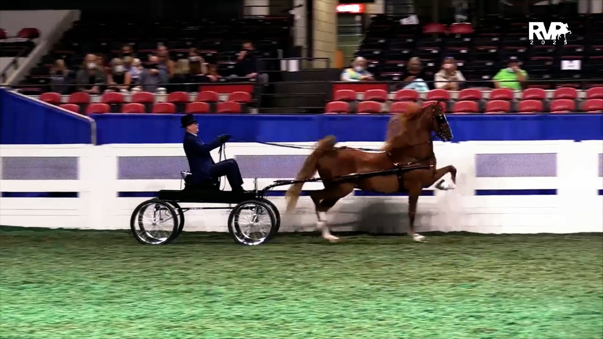 2025 Pro-AM - Friday Evening