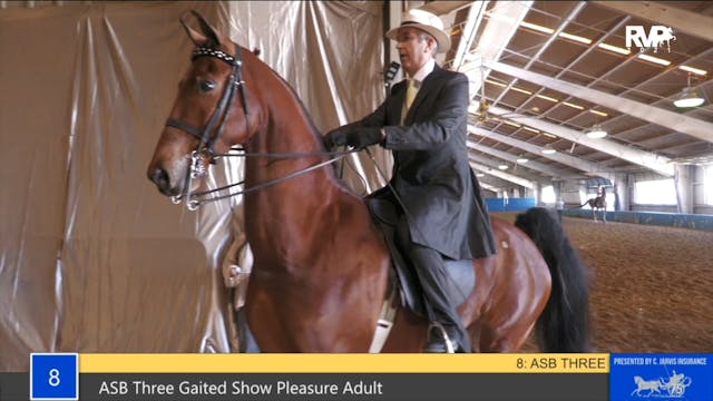 GASP21 - Class 8 - ASB Three Gaited S...
