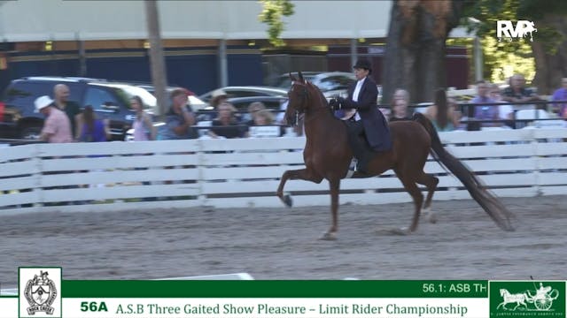 RC24 - Class 56.1- ASB Three Gaited S...