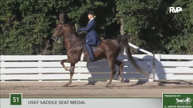 2016 RC - Class 51 USEF Saddle Seat M...