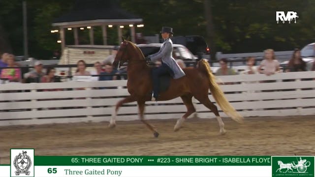 RC24 - Class 65 - Three Gaited Pony