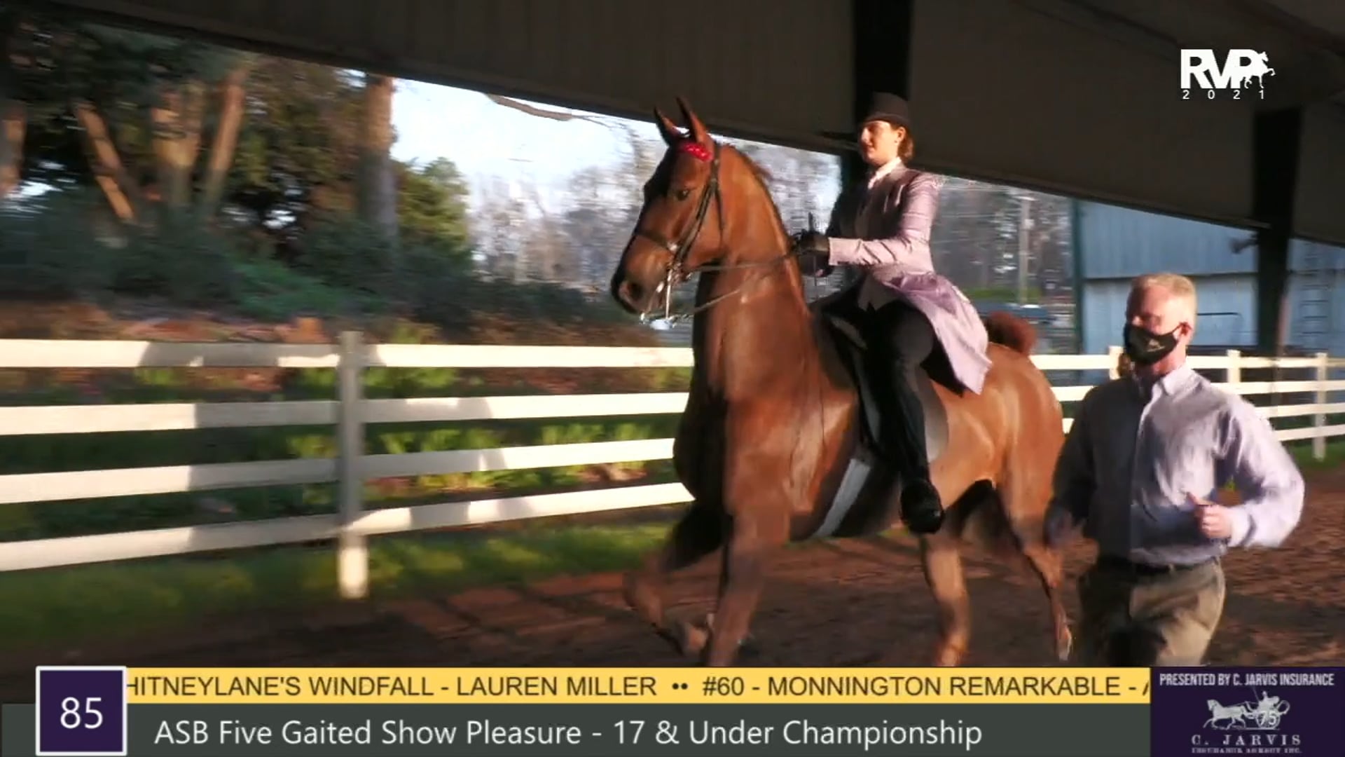 RSP21 - Class 85 - ASB Five Gaited Show Pleasure
17 & Under Championship