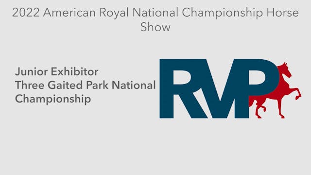 AR22 - Class 166 - Junior Exhibitor T...