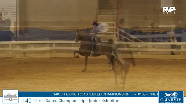 ASC26 - Class 140 - Three Gaited Cham...