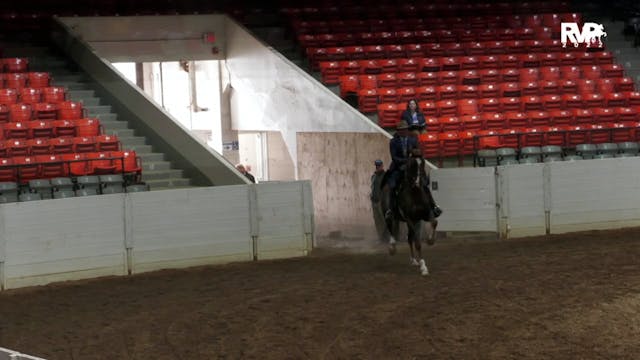RR22 - Class 42 -  ASB Three Gaited A...