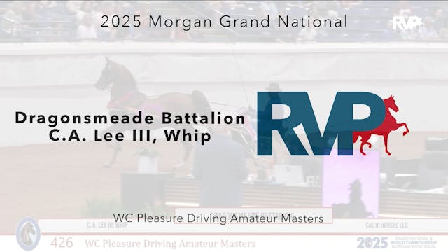 MGN25 - Class 426 - Dragonsmeade Batt...