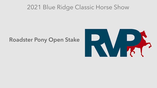 BR21 - Class 210 - Roadster Pony Open...