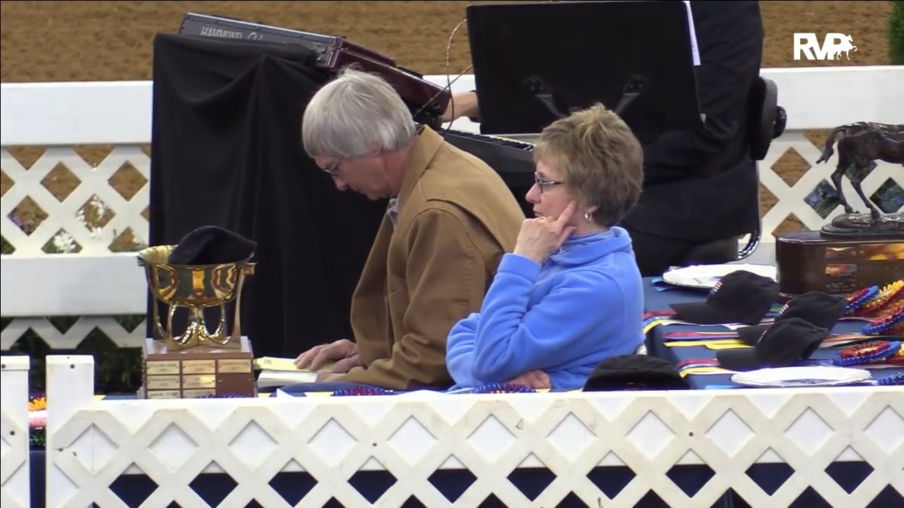 BB17 - Saturday Afternoon