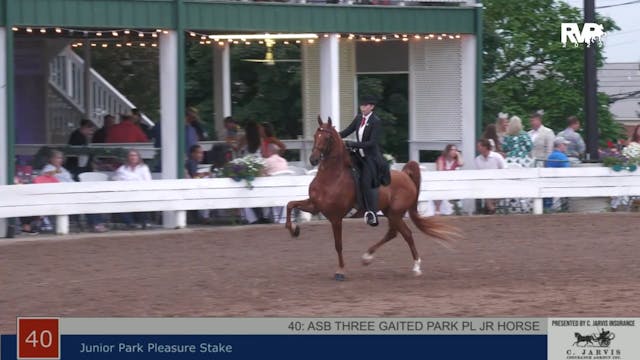 SHS22 - Class 40 -  Junior Park Pleas...