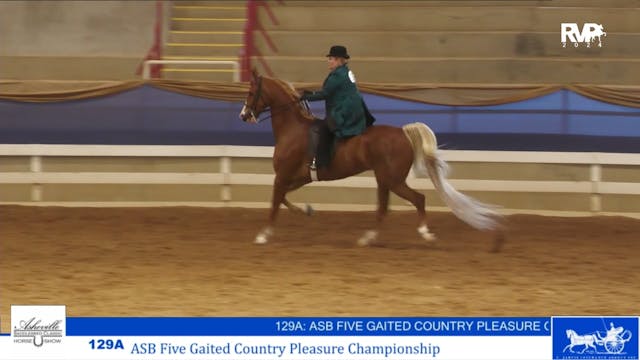 ASC24 - Class 129A - ASB Five Gaited ...