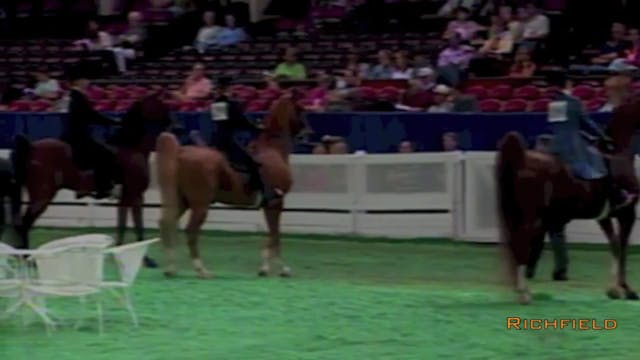 2001 WCHS - Class 21 - Adult Three Ga...