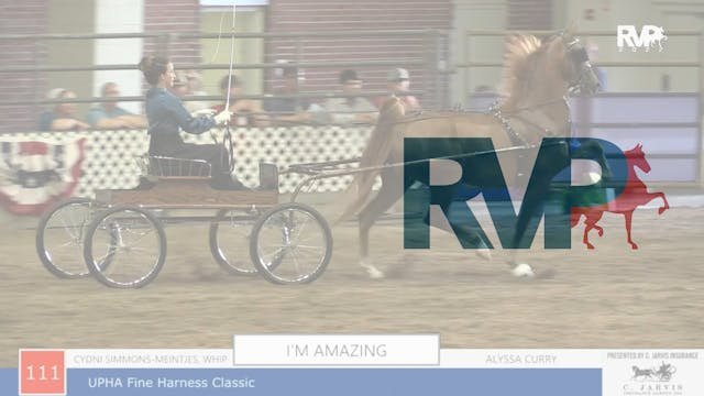 AAC22 - Class 111 -  I’m Amazing and ...