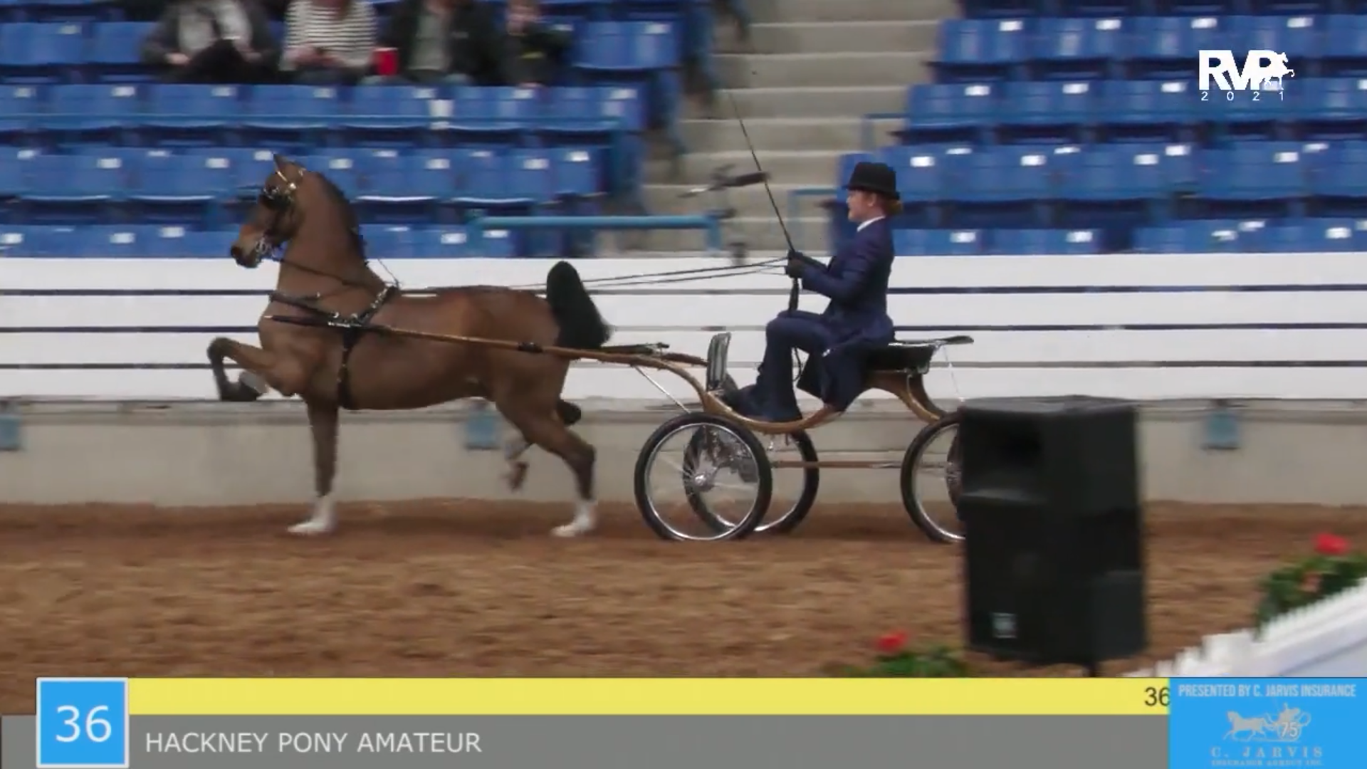 SSSF21 - Class 36 - Hackney Pony Amateur