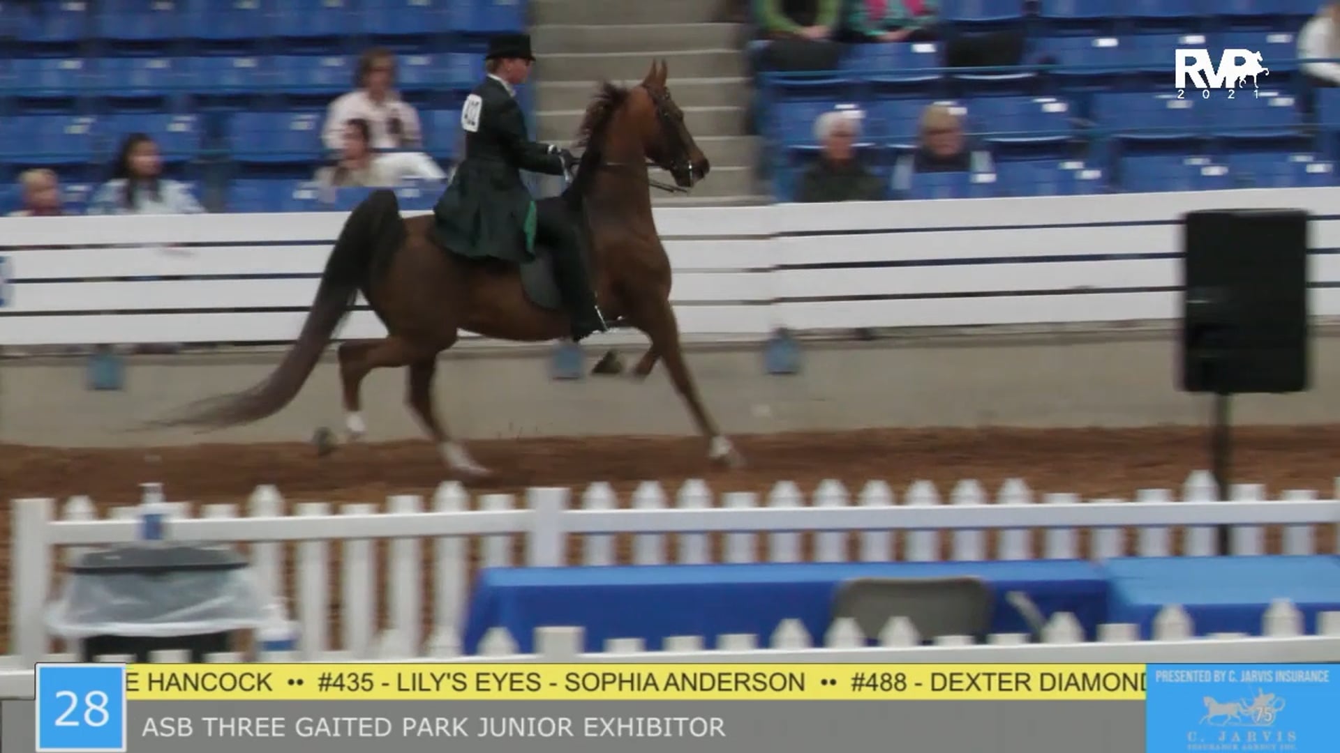 SSSF21 - Class 28 - ASB Three Gaited Park Junior Exhibitor