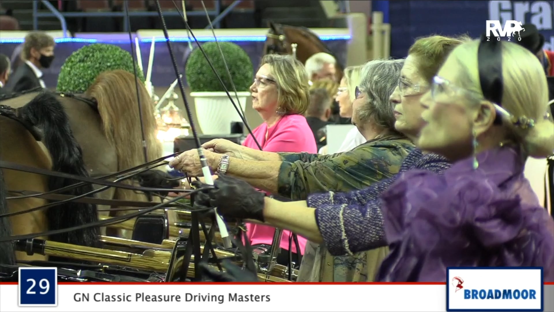 2020 MGN - Class 29 GN Classic Pleasure Driving Masters