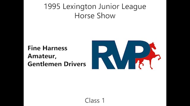 LJL 1995 - Class 1 - Fine Harness Ama...